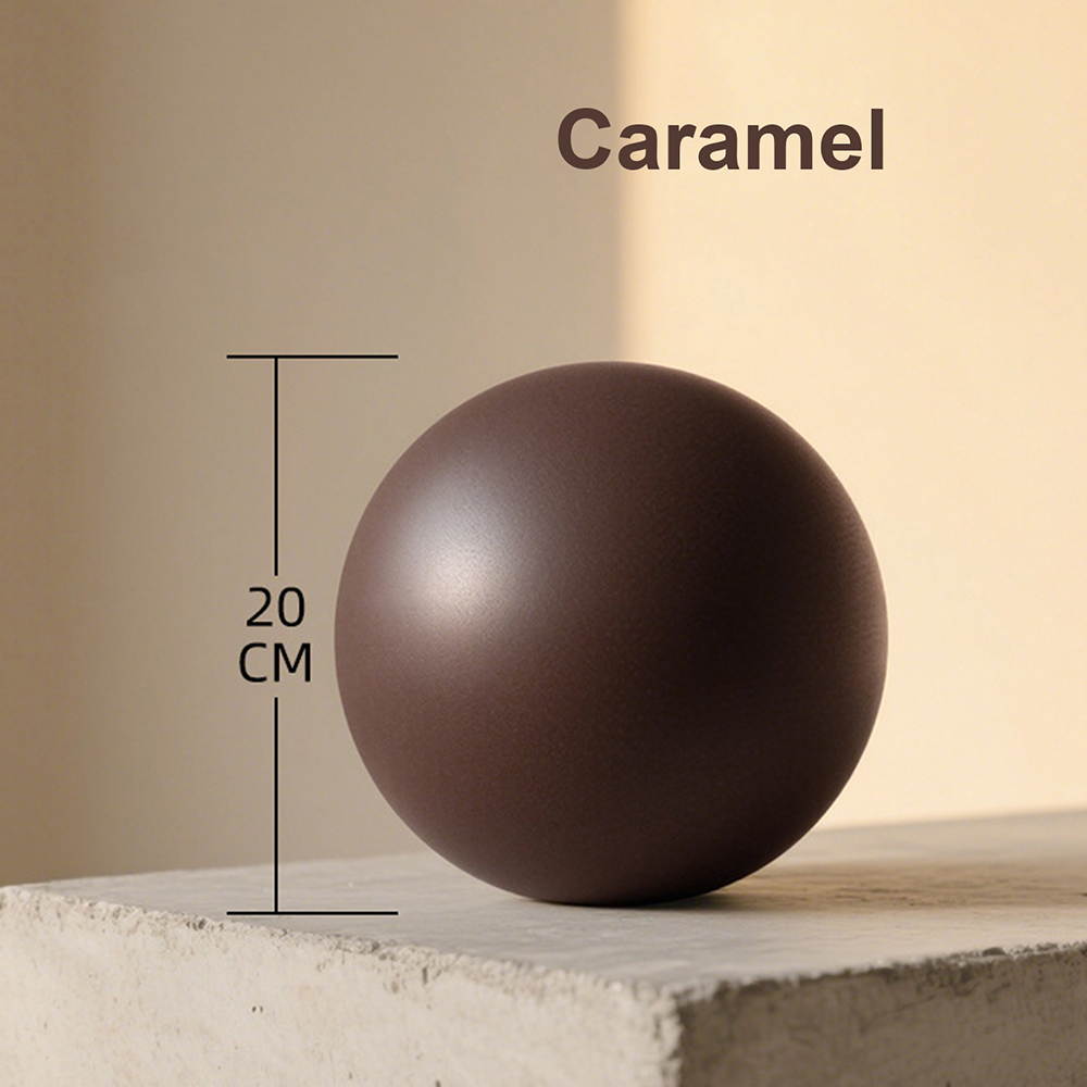 20cm Matte Exercise Ball Barre – Pilates Yoga Ball Workout Bewertung und Preis