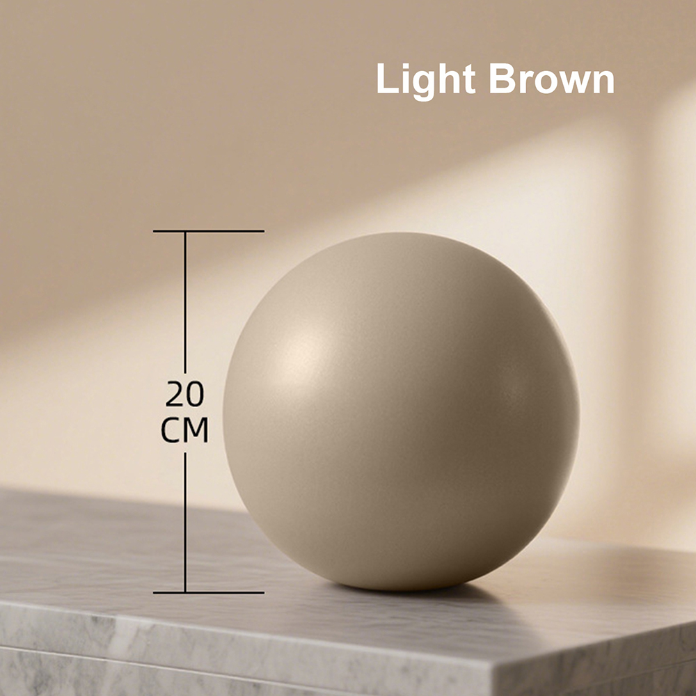 20cm Matte Exercise Ball Barre – Pilates Yoga Ball Workout Bewertung und Preis